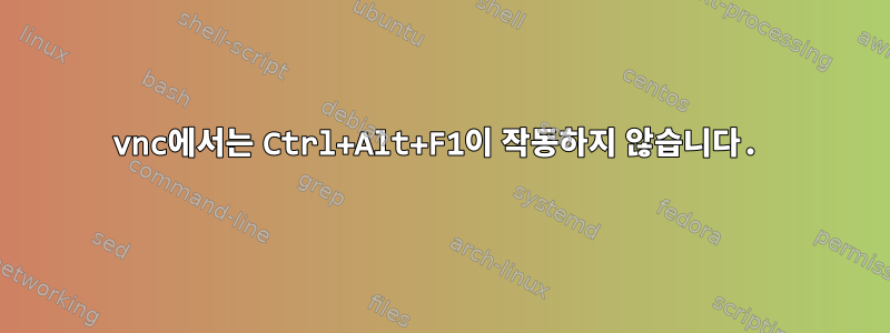 vnc에서는 Ctrl+Alt+F1이 작동하지 않습니다.