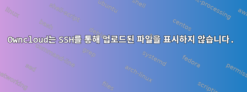 Owncloud는 SSH를 통해 업로드된 파일을 표시하지 않습니다.