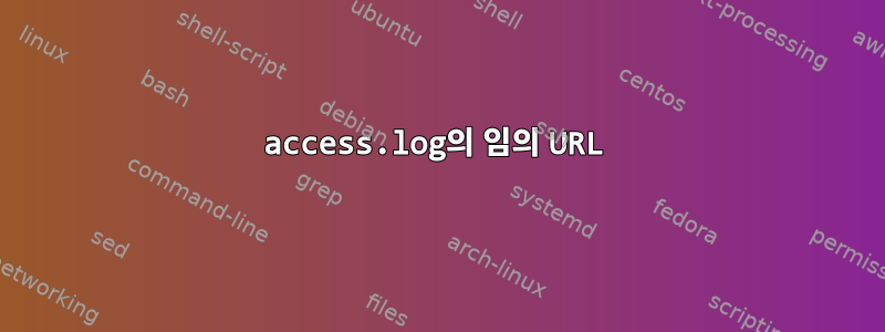 access.log의 임의 URL