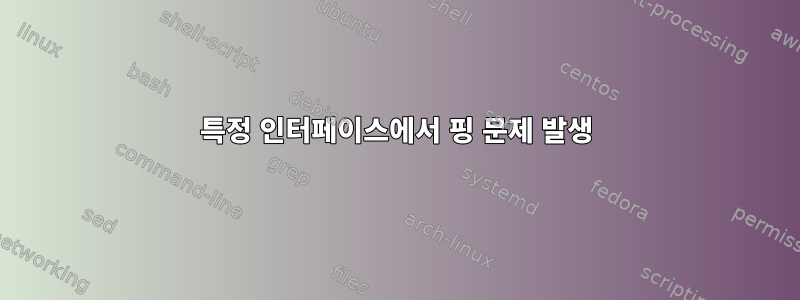 특정 인터페이스에서 핑 문제 발생