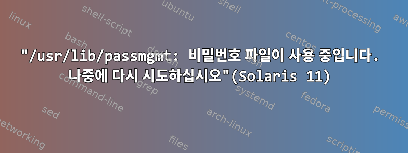 "/usr/lib/passmgmt: 비밀번호 파일이 사용 중입니다. 나중에 다시 시도하십시오"(Solaris 11)