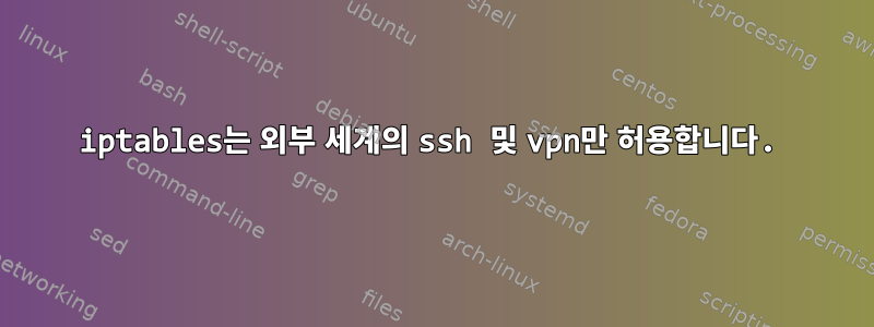 iptables는 외부 세계의 ssh 및 vpn만 허용합니다.