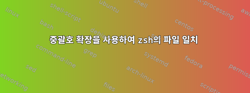 중괄호 확장을 사용하여 zsh의 파일 일치