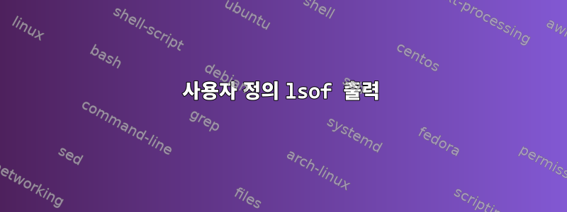 사용자 정의 lsof 출력