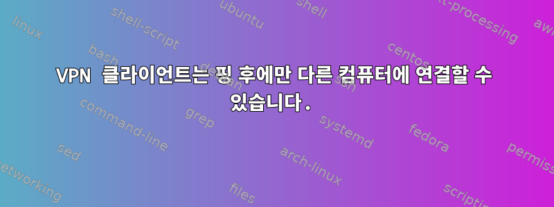 VPN 클라이언트는 핑 후에만 다른 컴퓨터에 연결할 수 있습니다.