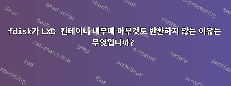 fdisk가 LXD 컨테이너 내부에 아무것도 반환하지 않는 이유는 무엇입니까?