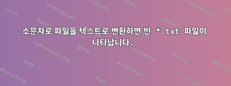 소문자로 파일을 텍스트로 변환하면 빈 *.txt 파일이 나타납니다.