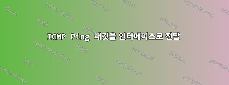 ICMP Ping 패킷을 인터페이스로 전달