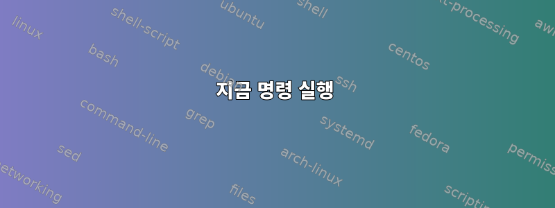 지금 명령 실행