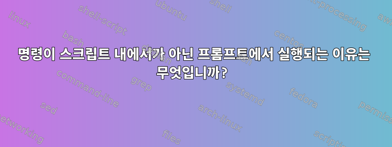 명령이 스크립트 내에서가 아닌 프롬프트에서 실행되는 이유는 무엇입니까?