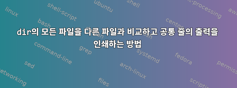 dir의 모든 파일을 다른 파일과 비교하고 공통 줄의 출력을 인쇄하는 방법