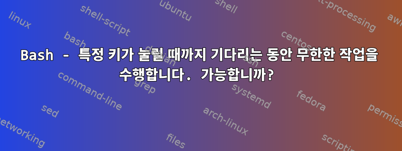 Bash - 특정 키가 눌릴 때까지 기다리는 동안 무한한 작업을 수행합니다. 가능합니까?