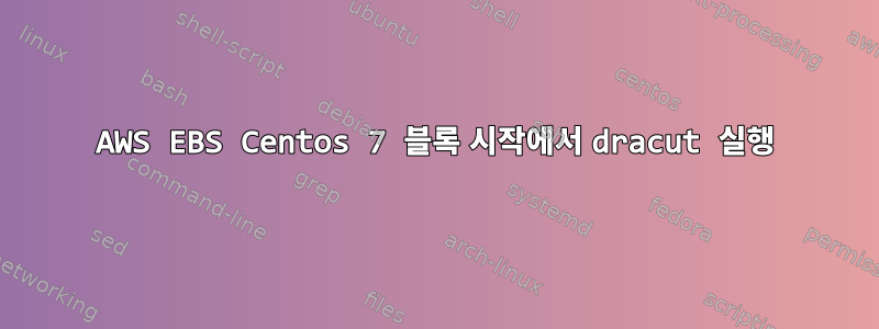 AWS EBS Centos 7 블록 시작에서 dracut 실행