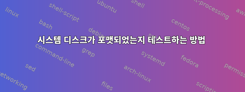 시스템 디스크가 포맷되었는지 테스트하는 방법