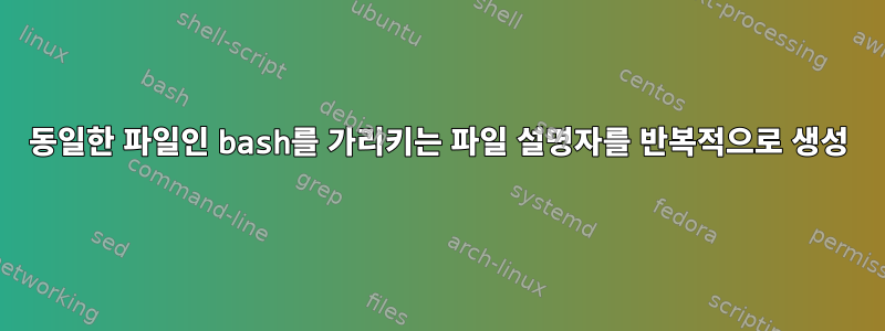 동일한 파일인 bash를 가리키는 파일 설명자를 반복적으로 생성