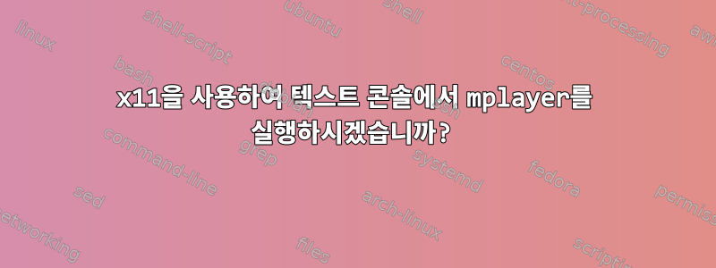 x11을 사용하여 텍스트 콘솔에서 mplayer를 실행하시겠습니까?