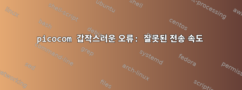 picocom 갑작스러운 오류: 잘못된 전송 속도