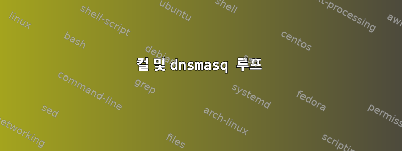 컬 및 dnsmasq 루프