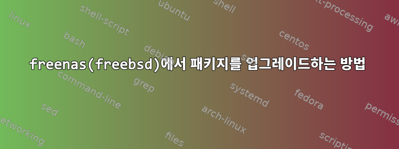 freenas(freebsd)에서 패키지를 업그레이드하는 방법