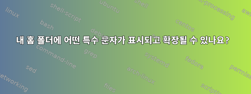 내 홈 폴더에 어떤 특수 문자가 표시되고 확장될 수 있나요?