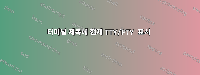 터미널 제목에 현재 TTY/PTY 표시