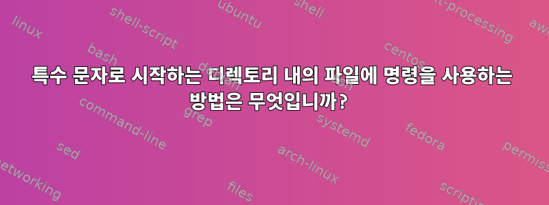 특수 문자로 시작하는 디렉토리 내의 파일에 명령을 사용하는 방법은 무엇입니까?