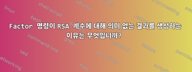 Factor 명령이 RSA 계수에 대해 의미 없는 결과를 생성하는 이유는 무엇입니까?