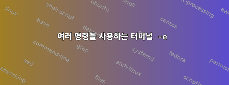 여러 명령을 사용하는 터미널 -e