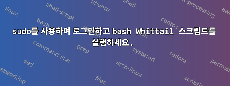 sudo를 사용하여 로그인하고 bash Whittail 스크립트를 실행하세요.