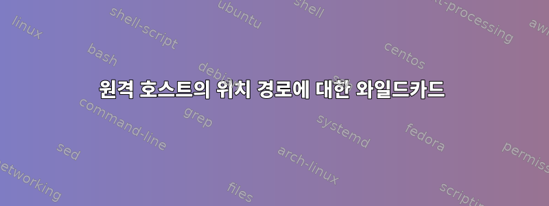 원격 호스트의 위치 경로에 대한 와일드카드