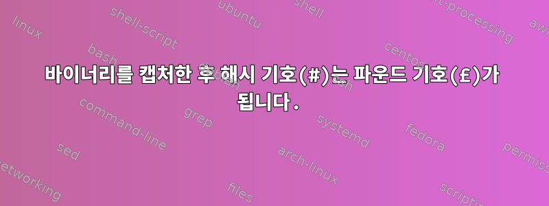 바이너리를 캡처한 후 해시 기호(#)는 파운드 기호(£)가 됩니다.