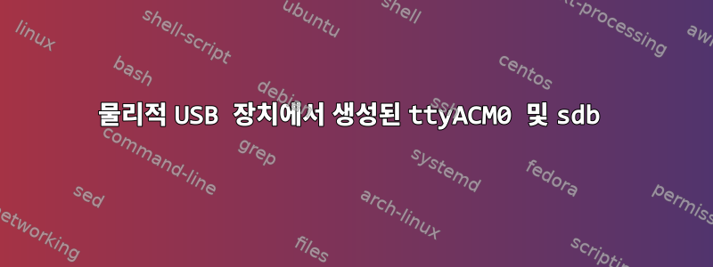 물리적 USB 장치에서 생성된 ttyACM0 및 sdb