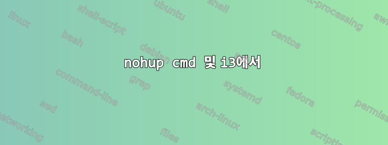 nohup cmd 및 i3에서