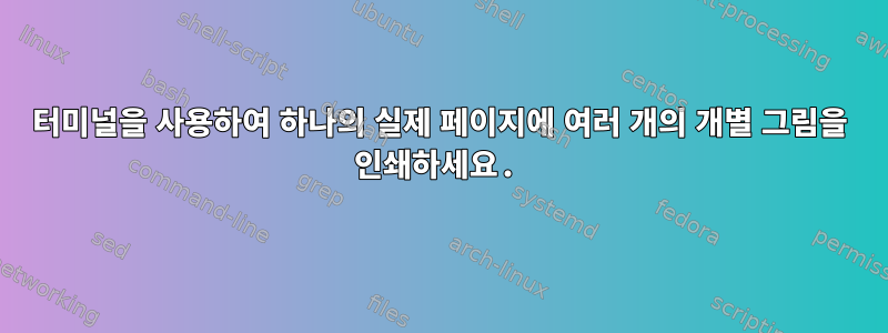 터미널을 사용하여 하나의 실제 페이지에 여러 개의 개별 그림을 인쇄하세요.