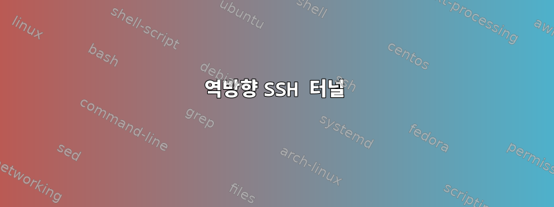 역방향 SSH 터널