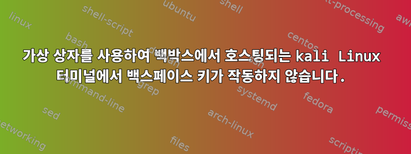 가상 상자를 사용하여 백박스에서 호스팅되는 kali Linux 터미널에서 백스페이스 키가 작동하지 않습니다.