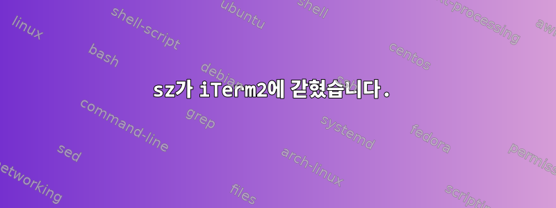 sz가 iTerm2에 갇혔습니다.