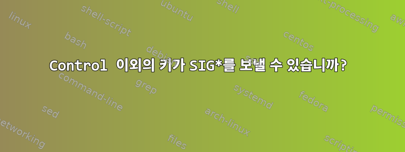 Control 이외의 키가 SIG*를 보낼 수 있습니까?