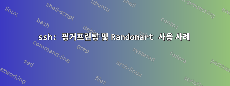 ssh: 핑거프린팅 및 Randomart 사용 사례