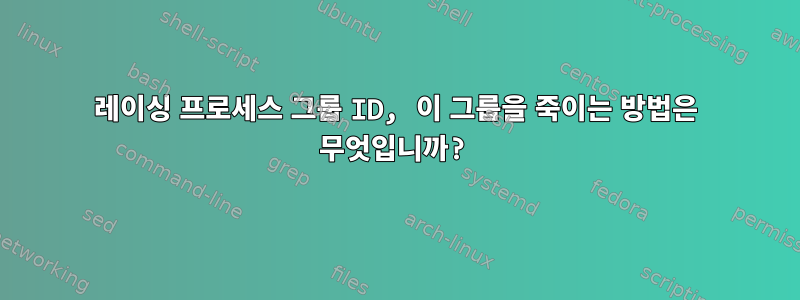 레이싱 프로세스 그룹 ID, 이 그룹을 죽이는 방법은 무엇입니까?