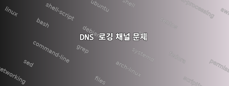 DNS 로깅 채널 문제