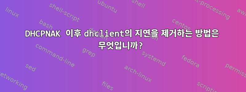 DHCPNAK 이후 dhclient의 지연을 제거하는 방법은 무엇입니까?