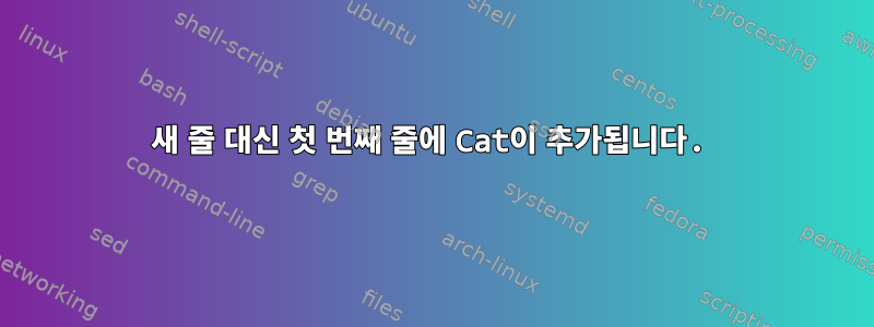 새 줄 대신 첫 번째 줄에 Cat이 추가됩니다.