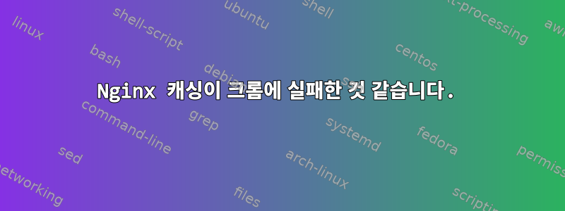 Nginx 캐싱이 크롬에 실패한 것 같습니다.