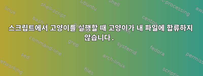 스크립트에서 고양이를 실행할 때 고양이가 내 파일에 합류하지 않습니다.