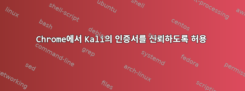 Chrome에서 Kali의 인증서를 신뢰하도록 허용