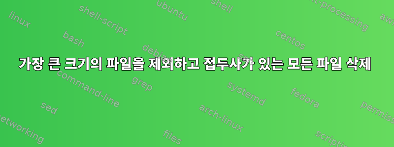 가장 큰 크기의 파일을 제외하고 접두사가 있는 모든 파일 삭제