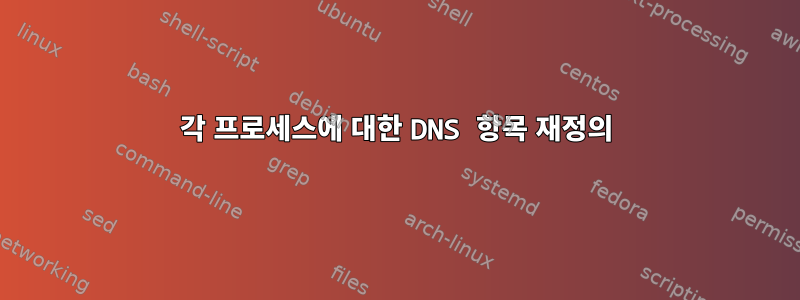 각 프로세스에 대한 DNS 항목 재정의