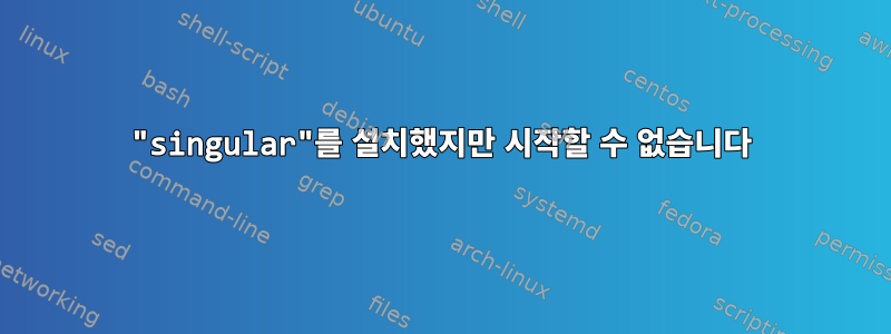 "singular"를 설치했지만 시작할 수 없습니다