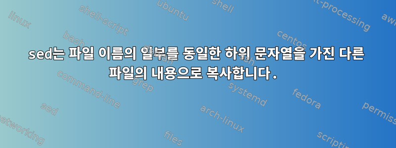 sed는 파일 이름의 일부를 동일한 하위 문자열을 가진 다른 파일의 내용으로 복사합니다.